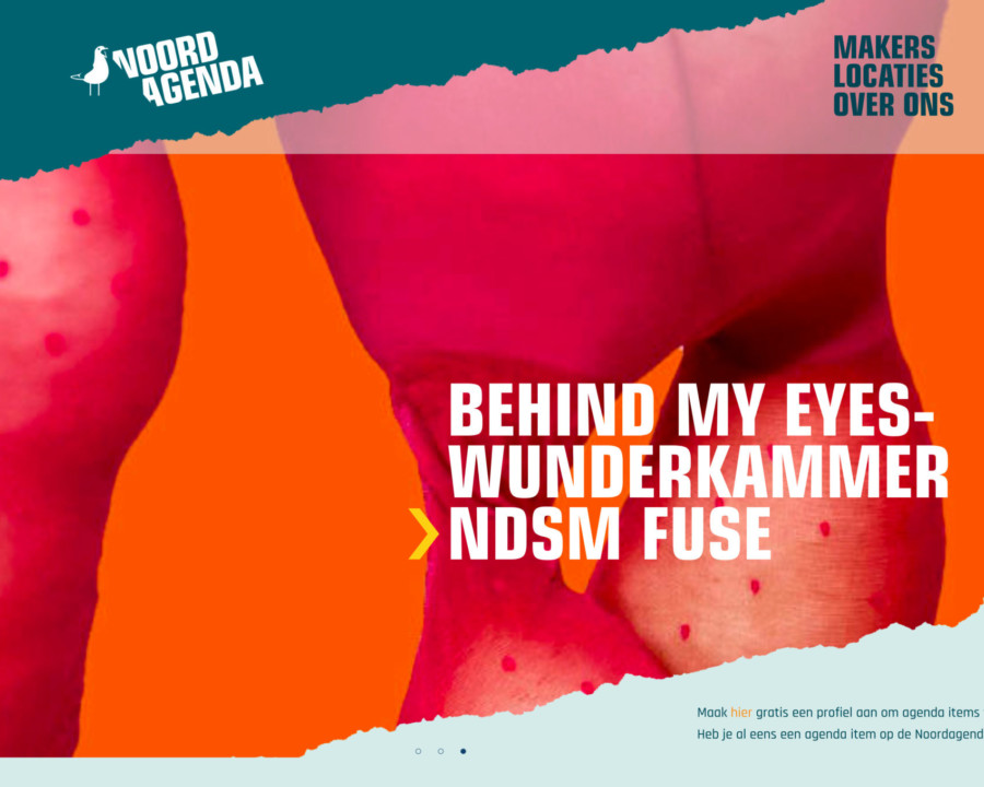 NoordAgenda - Maatwerk Wordpress Webdevelopment