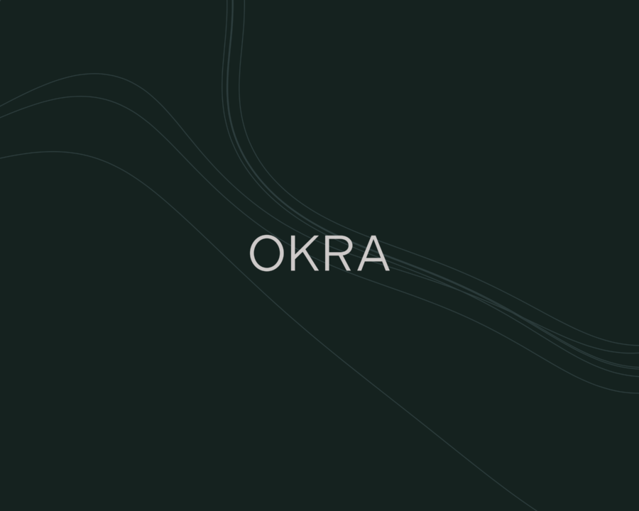 OKRA - Maatwerk Wordpress Webdevelopment