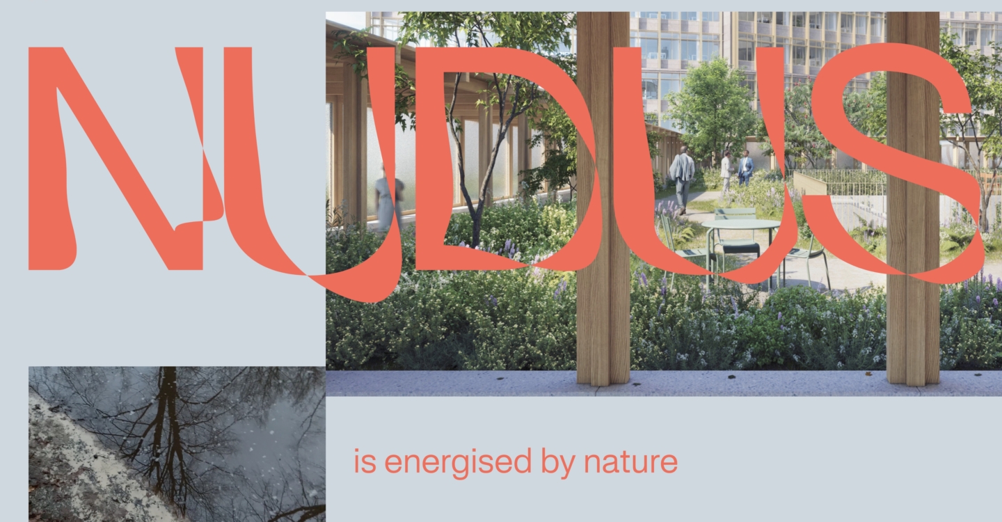 NUDUS - Maatwerk Wordpress Webdevelopment