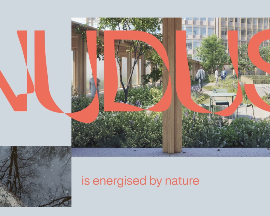 NUDUS - Maatwerk Wordpress Webdevelopment