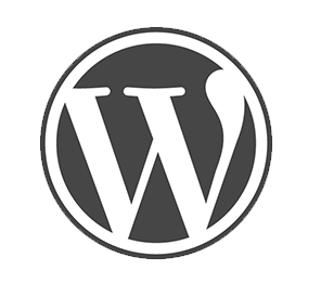 maatwerk wordpress webdevelopment